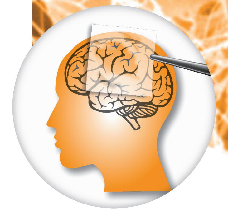 Miếng vá màng cứng